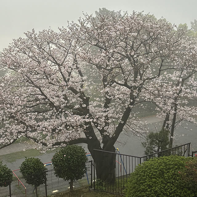 syutmmさんの部屋