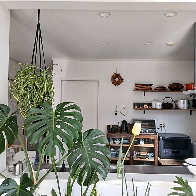 chidorinさんの実例写真