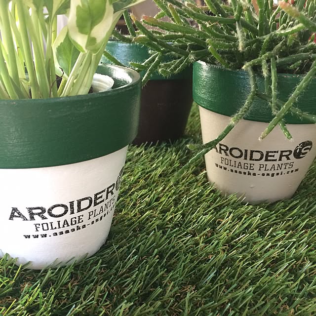 AROIDERSさんの実例写真