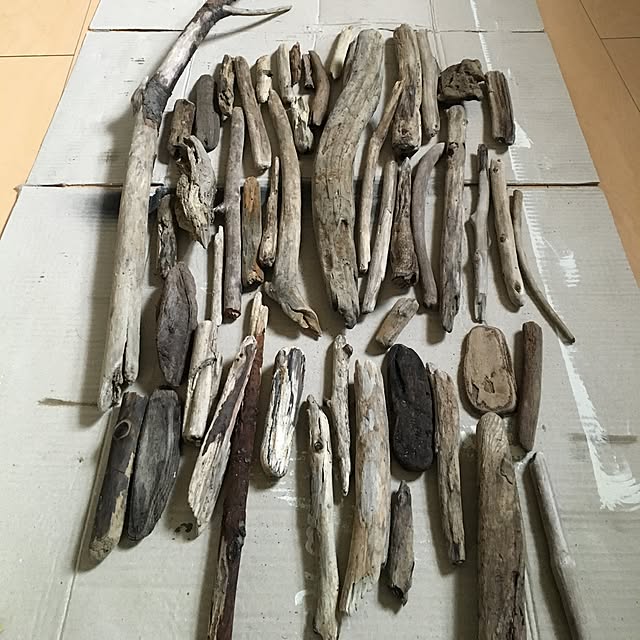 tetra163さんの実例写真