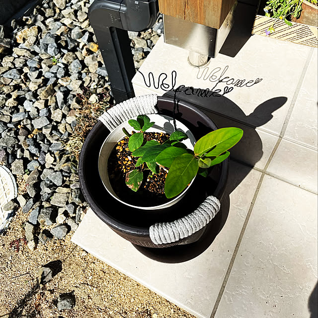 ayunaさんの実例写真
