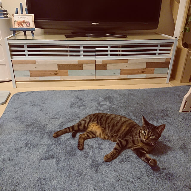 taka-kiさんの実例写真