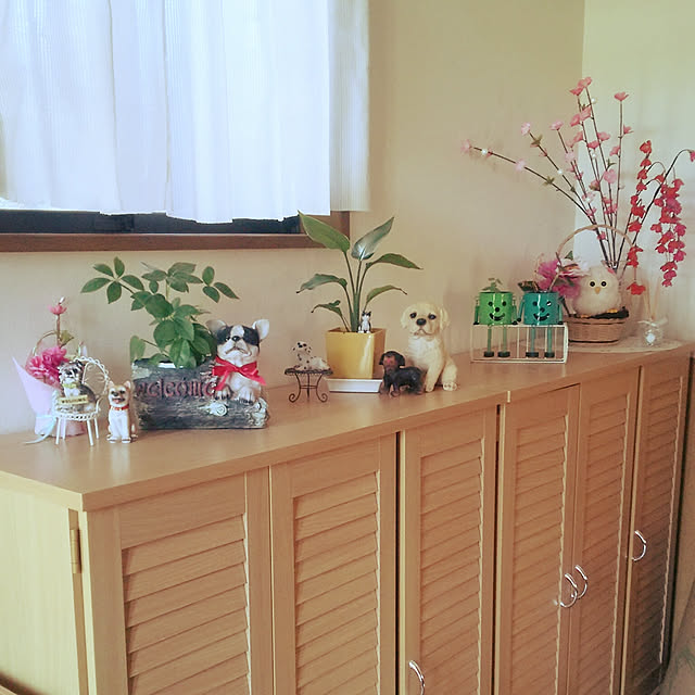 Tirorinさんの実例写真