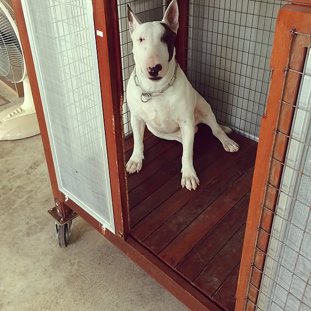 Thammaratさんの実例写真