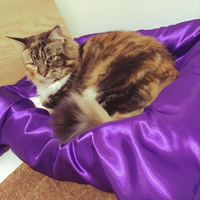 lilyambayさんの実例写真