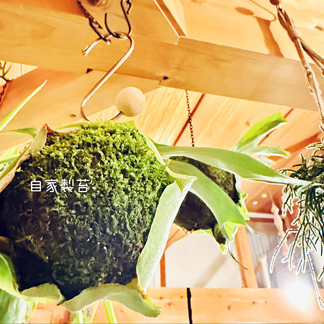 onsix777さんの部屋