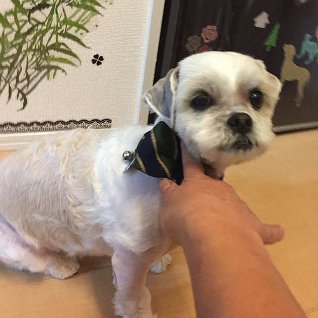 emiさんの実例写真