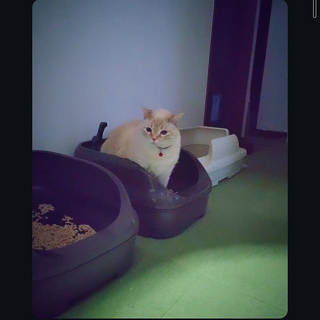 mntcさんの部屋