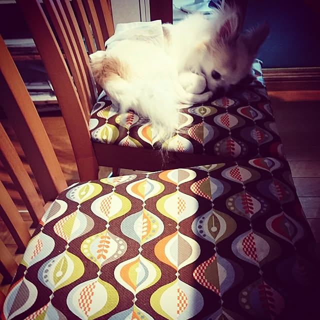 mameさんの実例写真