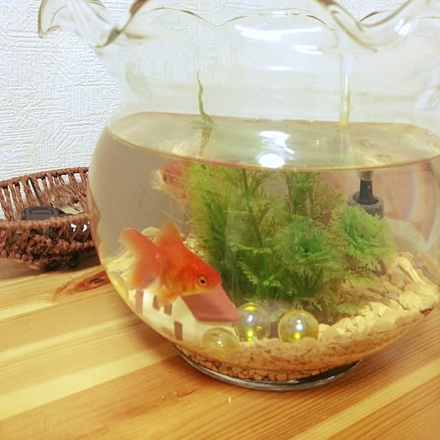 takaさんの実例写真