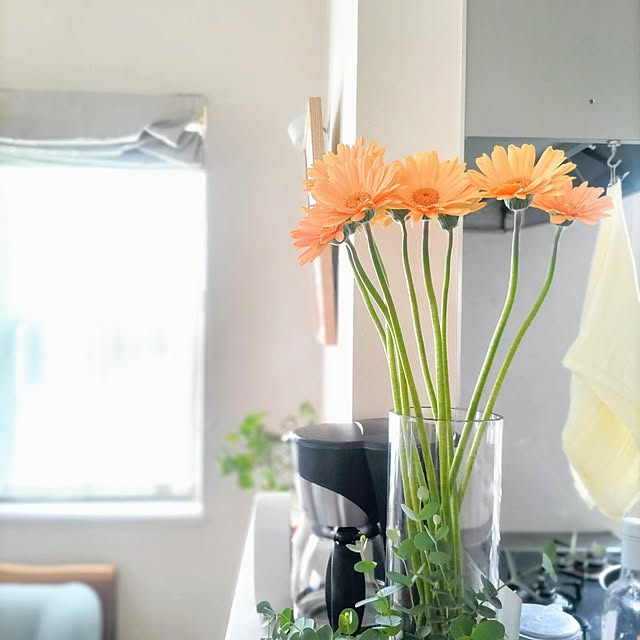 Haさんの部屋