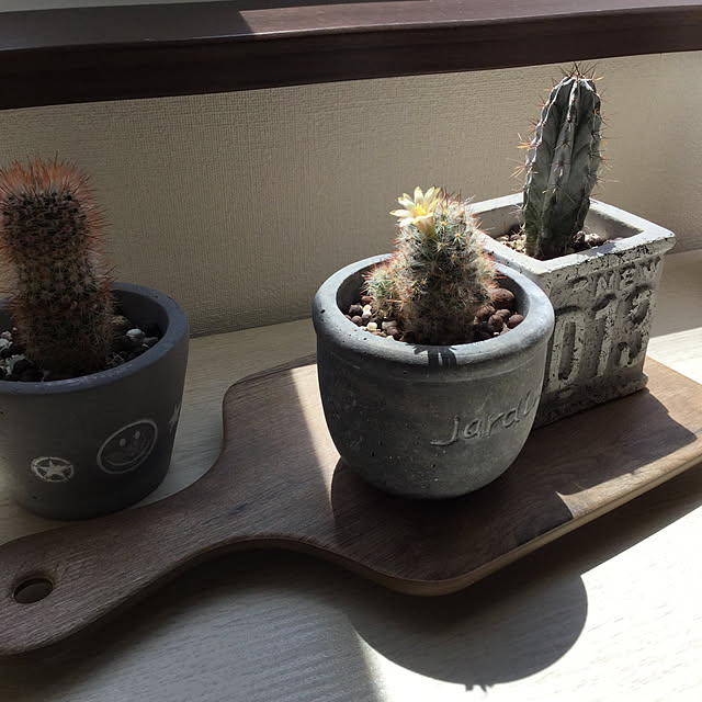 yukkin29さんの実例写真