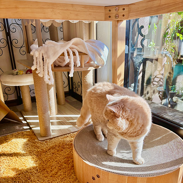 naokoさんの部屋