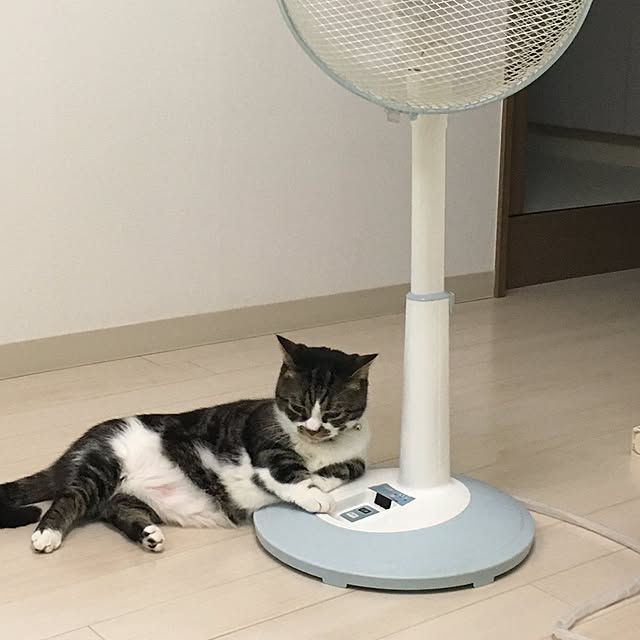 oceanianさんの実例写真