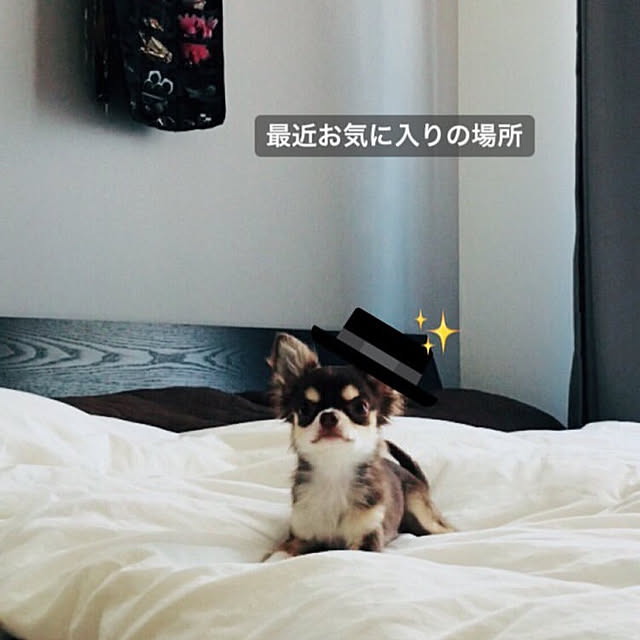 mariさんの実例写真