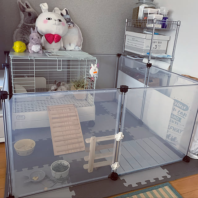 Shiba_komugiさんの実例写真