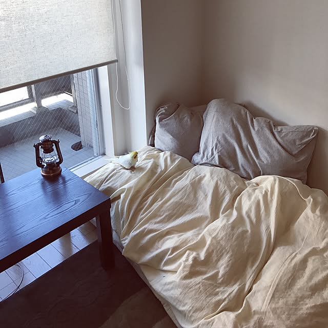 nero19860506さんの実例写真