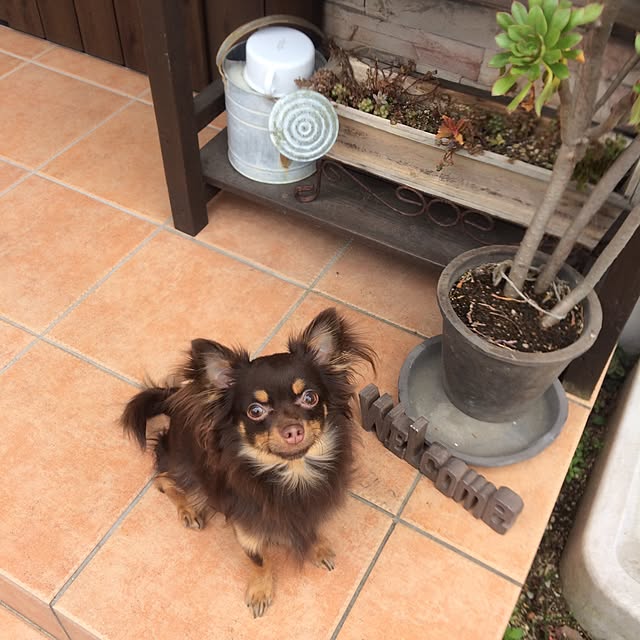 miyuさんの実例写真