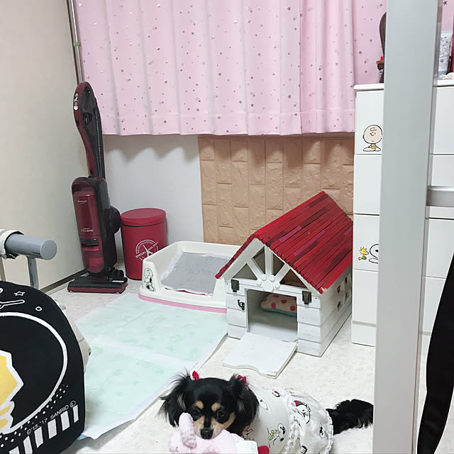 部屋全体/雑貨/ハンドメイドのインテリア実例 - 2018-05-25 00:28:24