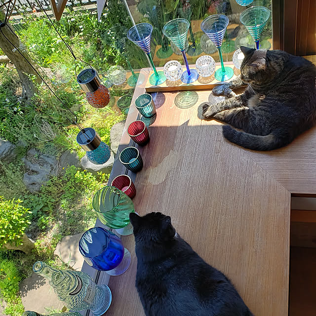Mayumi8888さんの実例写真