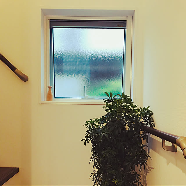 nanakoさんの実例写真