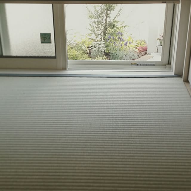 Mayukoさんの実例写真