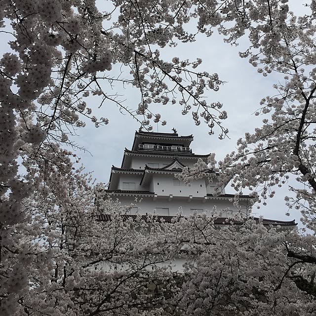 mini5597214さんの実例写真