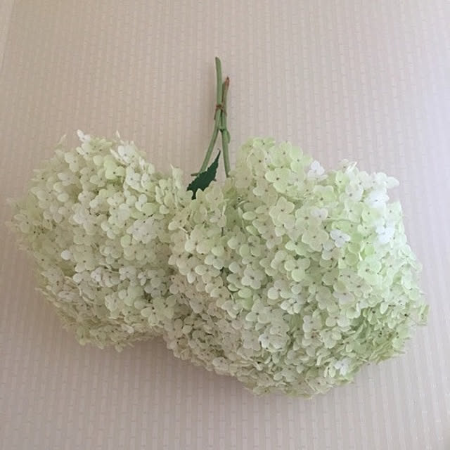 nanacocoさんの実例写真