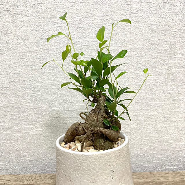 jeyさんの部屋