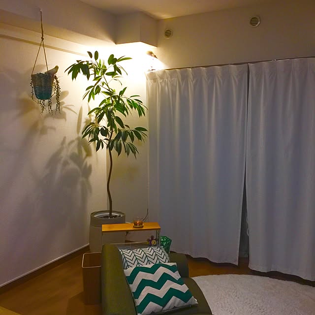 shirokinaさんの実例写真