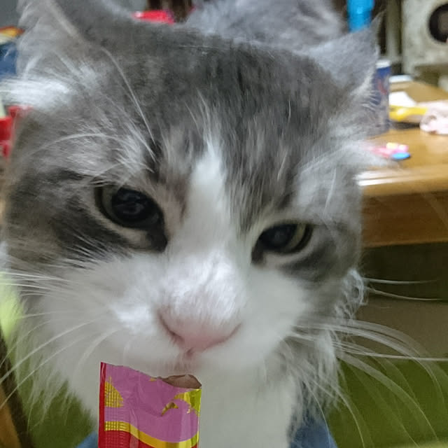 shinobuさんの実例写真
