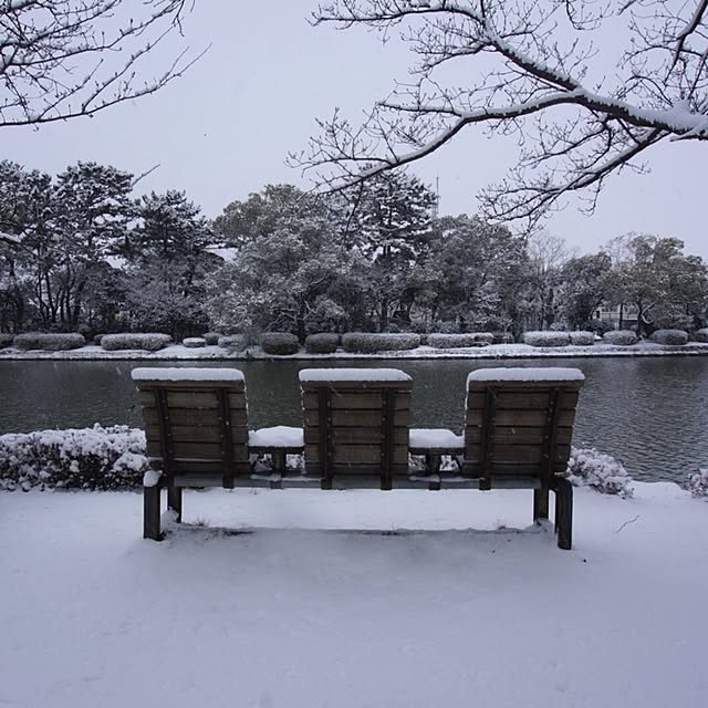 akaneさんの実例写真