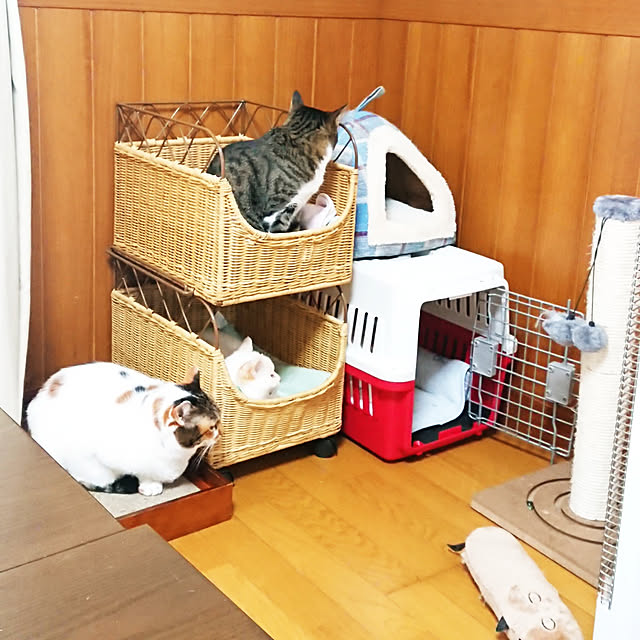 nachiさんの実例写真