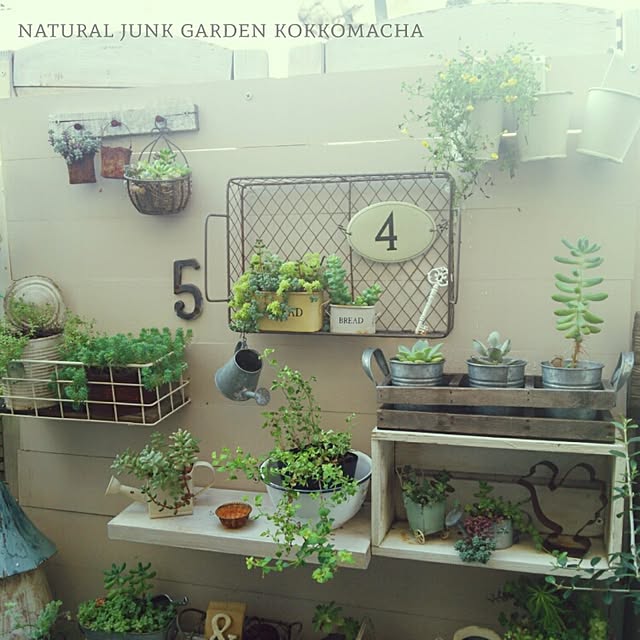 kokkomachaさんの実例写真