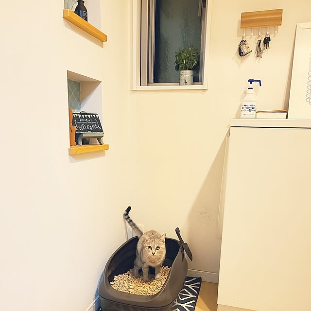 yucocoさんの実例写真