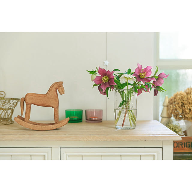 haruisabelさんの実例写真