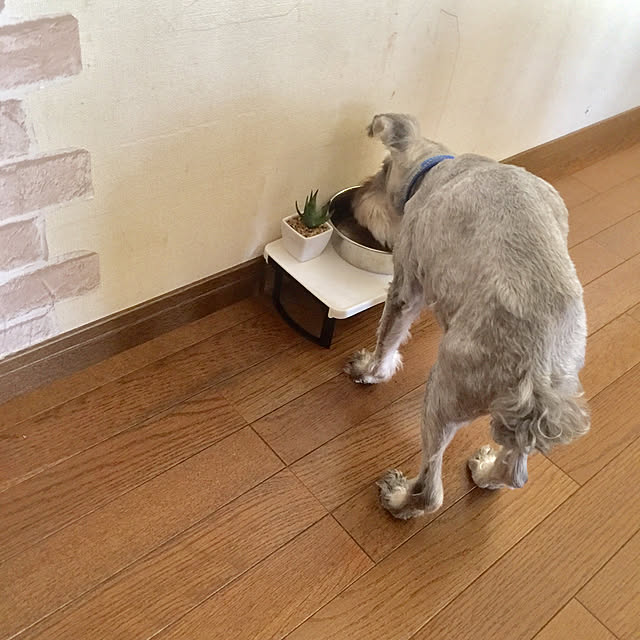 me_sweetさんの実例写真
