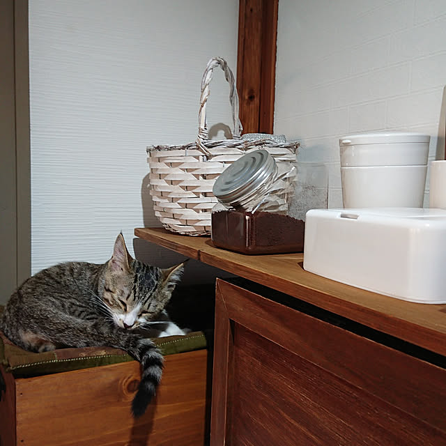 f19fv36.aiさんの実例写真