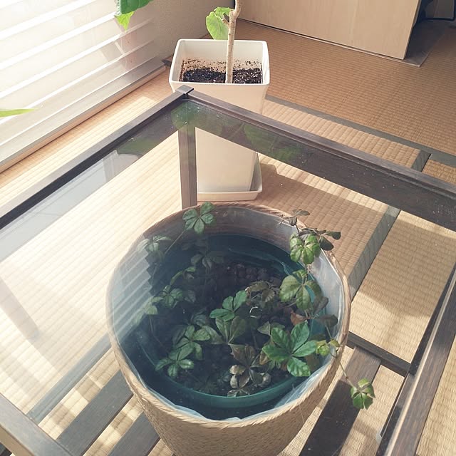 tan5さんの部屋