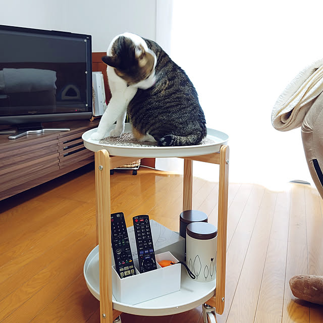 nachiさんの実例写真