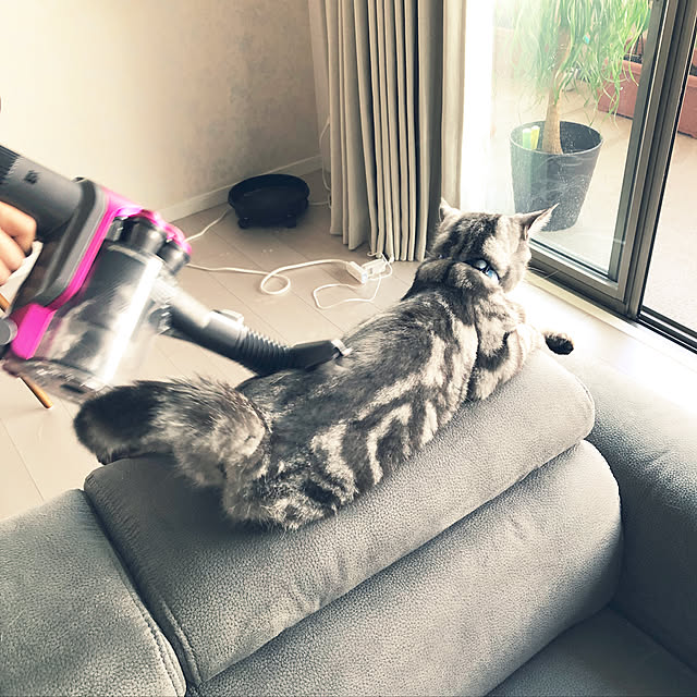 mutsuさんの実例写真