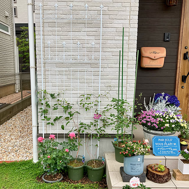 mariさんの実例写真