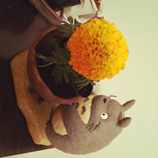tsukinowaguma_tさんの実例写真