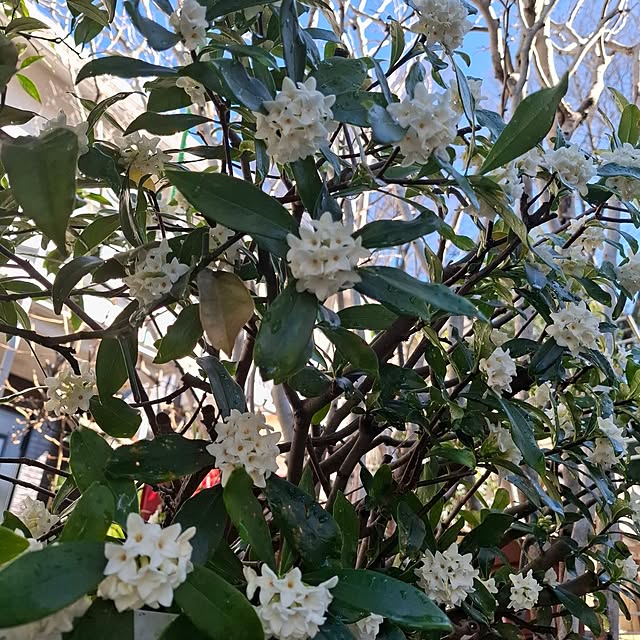 midoriさんの部屋