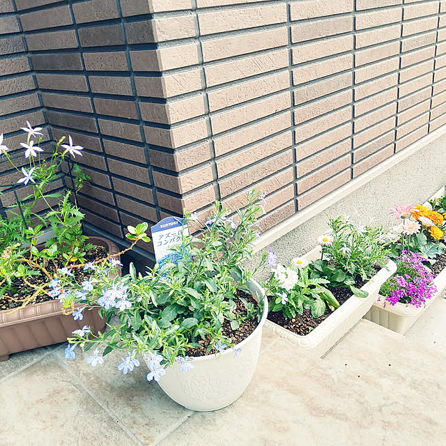 Yumaさんの実例写真