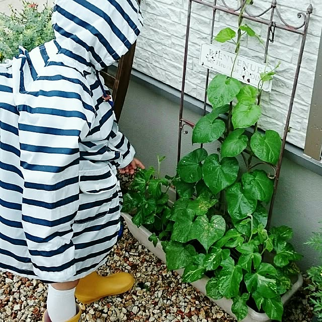 yunohaさんの実例写真