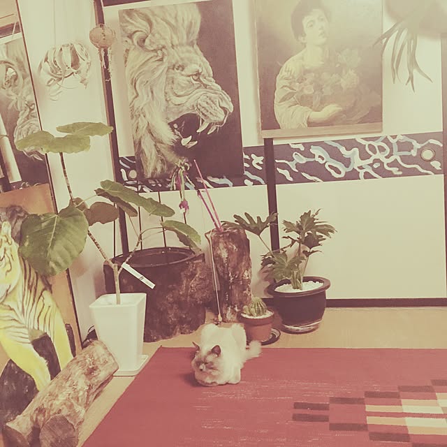 部屋全体/観葉植物のインテリア実例 - 2017-05-14 02:33:22