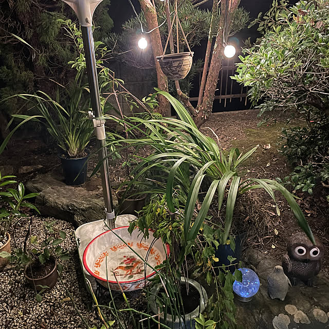 shin0719さんの実例写真
