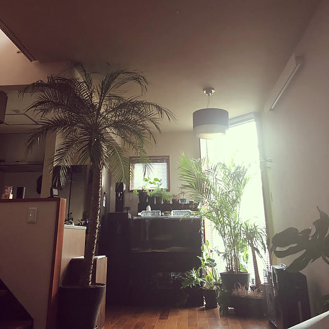 yanagi026さんの実例写真