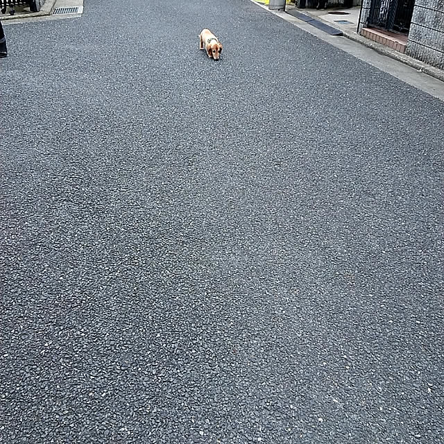 nakkop---さんの実例写真